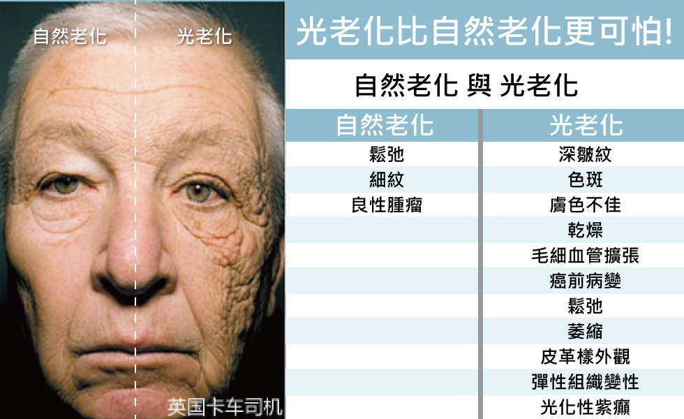 卡車司機圖截取至網路