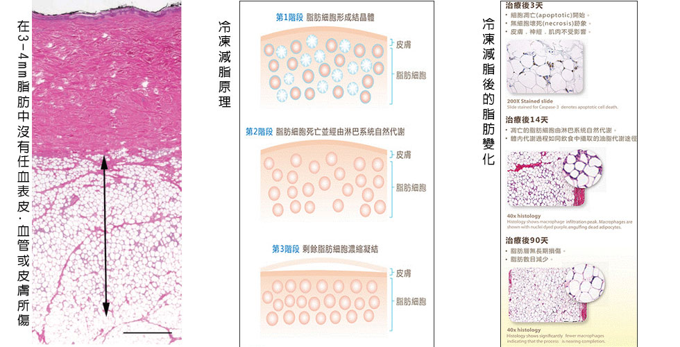 酷爾塑平原理