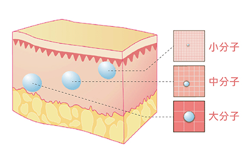 波尿酸針劑劑型有分大、中、小不同分子